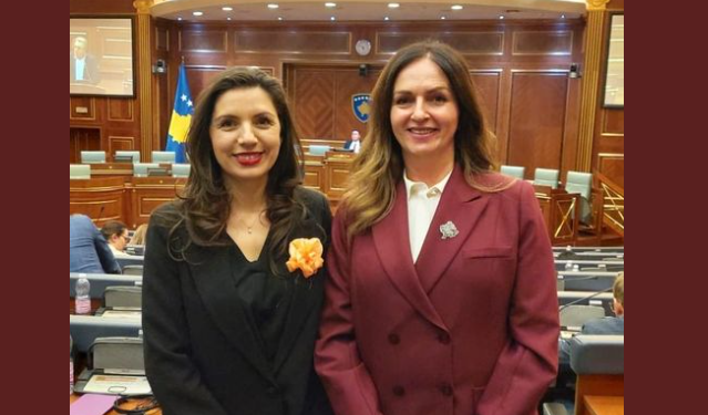 Kurti: Shkollat së shpejti do të pajisen me peceta menstruale falas