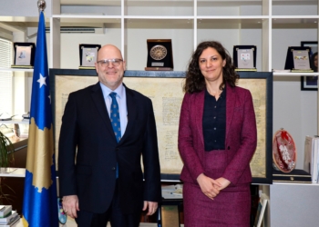 Hovenier: ShBA do të vazhdojë mbështetjen ndaj Kosovës për një të ardhme të qëndrueshme energjetike