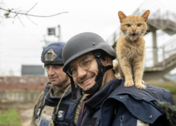 Shënohet rritje e ndjeshme e numrit të gazetarëve të vrarë