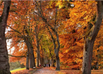 Procesi i përmirësimit personal në stinën e vjeshtës dhe dimrit