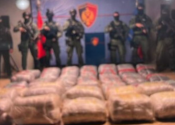 Sekuestrohen 500 kg kanabis në Vlorë, arrestohen 7 persona