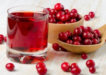 Boronica e kuqe, antibakteriali i fuqishëm natyral