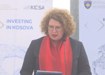 Hajdari: Presim që të vendosen 30 biznese në Parkun Industrial në Budrikë të Vitisë