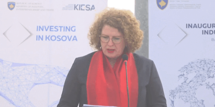 Hajdari: Presim që të vendosen 30 biznese në Parkun Industrial në Budrikë të Vitisë