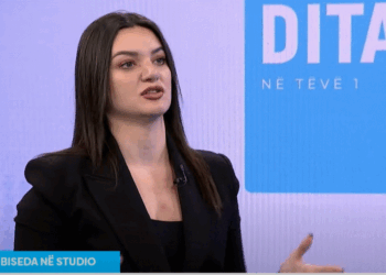 Statovci: Fjalën e fundit për draftin e Asociacionit do ta jep Gjykata Kushtetuese