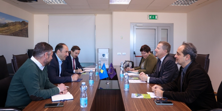 Szunyog takon Aliun, ka një këshillë për të