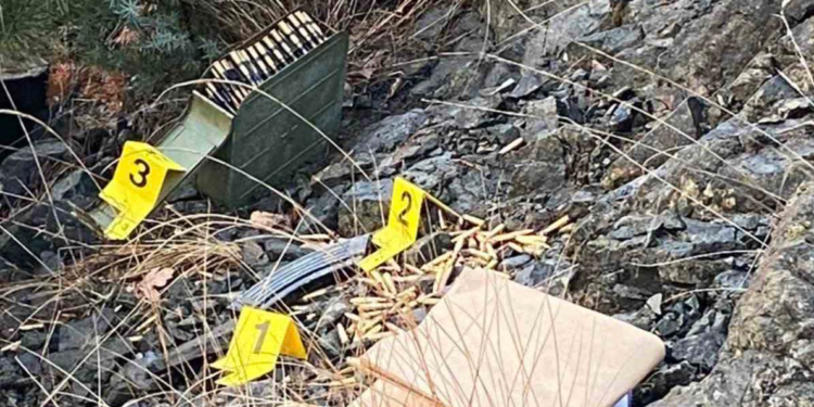 Elshani: Në vendin ku u vra Afrim Bunjaku, u gjetën plumba, gëzhoja dhe një flamur i Serbisë