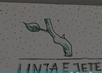 Nga vendi ku jepet shpresë për jetë