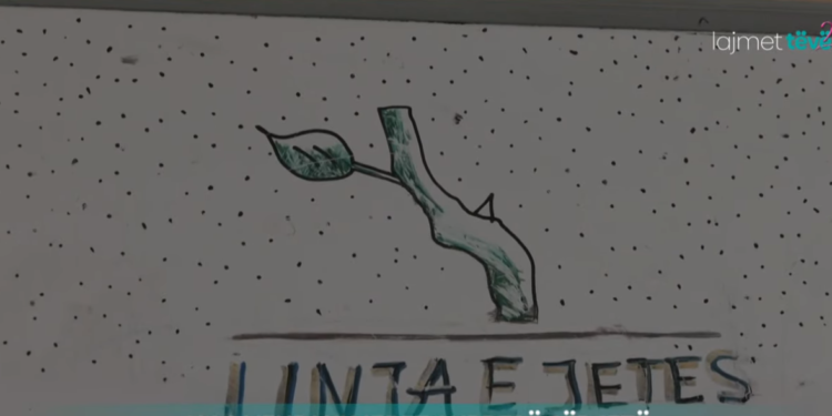 Nga vendi ku jepet shpresë për jetë