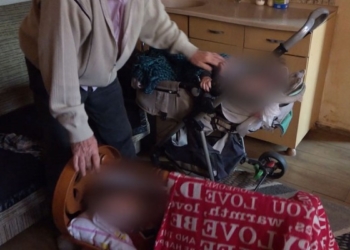 Shumë njerëz të vullnetit të mirë ndihmuan gjyshin me dy nipat jetim për Vitin e Ri