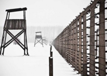 ​Dita Ndërkombëtare e Holokaustit