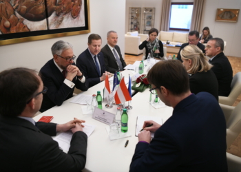 Szunyog viziton Kushtetuesen, kërkon zbatimin e aktvendimit për Manastirin e Deçanit