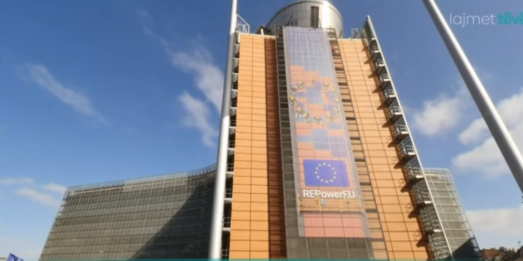 SHBA e BE kërkojnë që të shtyhet vendimi për ndalimin e dinarit