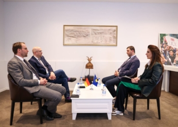 Krasniqi takohet me Sarrazin: Përtej përgjegjësisë së qeverisë kërkuam heqjen e sanksioneve