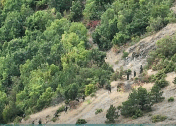 Sveçla: Sulmuesit e Banjkës vendosen në listën e INTERPOL-it