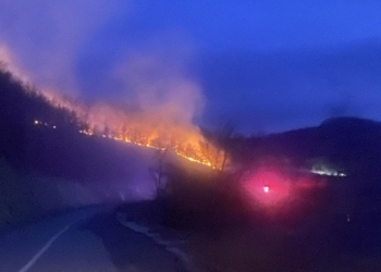 Digjet mali në afërsi të Liqenit të Batllavës