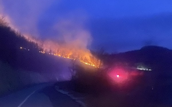 Digjet mali në afërsi të Liqenit të Batllavës