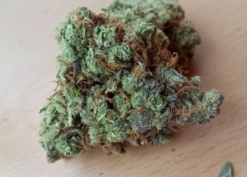 Në veturën e një personi në Fushë-Kosovë, policia gjen marihuanë