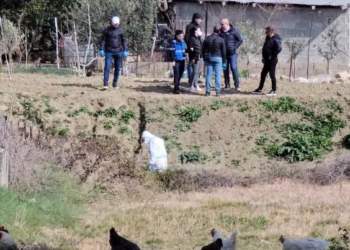 “E planifikuam me motrën, unë shkrepa armën”, detaje të reja të vrasjes në Durrës