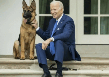 Qeni i Bidenit ka kafshuar të paktën 24 herë agjentët e shërbimit sekret