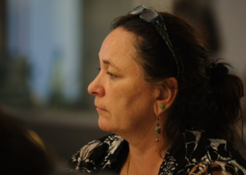 Brush: Vetëperceptimi i Vuçiqit si president i ‘botës serbe’ nuk i kontribuon dialogut