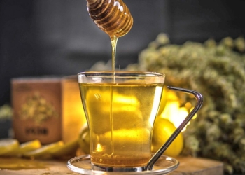 Fyti i acaruar, trajtimet më të mira dhe të shpejta në kushtet e shtëpisë