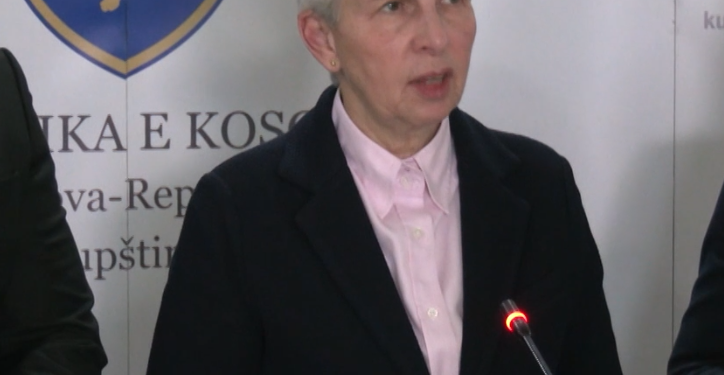 Deputetja gjermane: Këshillat që japim të inkorporohen në vendimet që merren