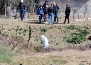 Dyshohet se vranë babanë në bashkëpunim dhe e groposën, arrestohet vëllai i madh i 19-vjeçares