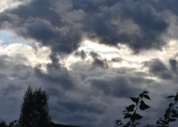 E shtuna me mot të vranët