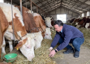 Peci njofton se vazhdon të jetë i hapur aplikimi për subvencione 2024