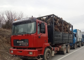Ndalohen katër kamionë me drunj, falsifikonin dokumentet e transportit të tyre
