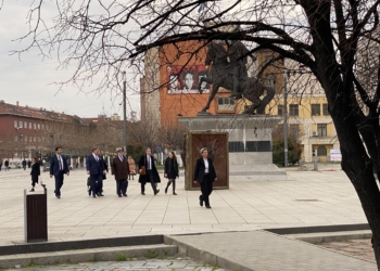 Escobar dhe Hovenier mbërrijnë në qeveri për takimin me Kurtin