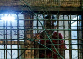 Kush janë të burgosurit e tjerë rusë që mund të kenë fatin sikurse të Navalnyt?