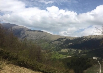 ​”Ripyllëzimi-rruga e rimëkëmbjes dhe mirëqenies”