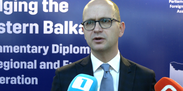 Bushati: Serbia, prishësja e vetme e stabilitetit rajonal