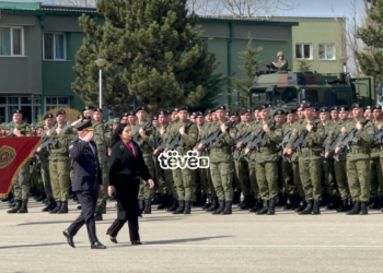 Kurti: Çdo ditë po afrohemi drejt NATO-s me modernizim dhe rritjen e ushtrisë