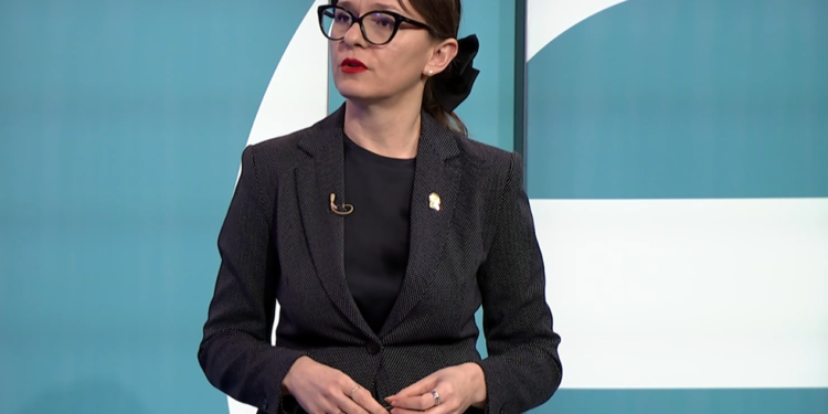 Kabashi thotë se Kosova ka nevojë për aleatë, jo për izolim