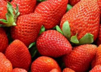 7 arsye pse duhet të hani më shumë luleshtrydhe tani