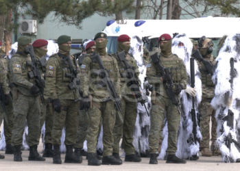 Shoqatat e dala nga lufta të indinjuar që nuk u ftuan në aktivitetet për Epopenë e UÇK-së