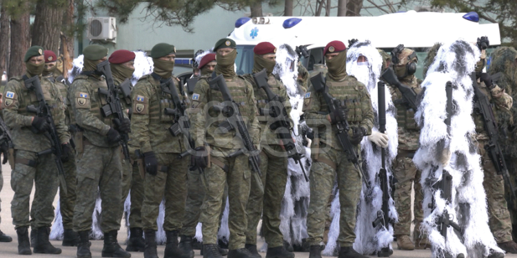 Shoqatat e dala nga lufta të indinjuar që nuk u ftuan në aktivitetet për Epopenë e UÇK-së