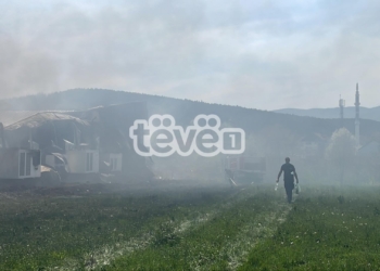 Përfshihet nga zjarri një fabrikë e kërpudhave në Podujevë