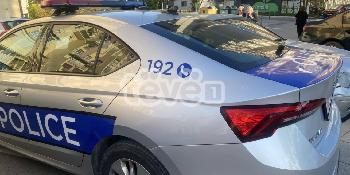 Tentoi ta kalojë ilegalisht kufirin, arrestohet një person në Leposaviq