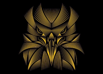 Peja reagon pas dënimit të rëndë