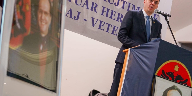 LDK nderon Sali Çekajn me akademi në Gjermani