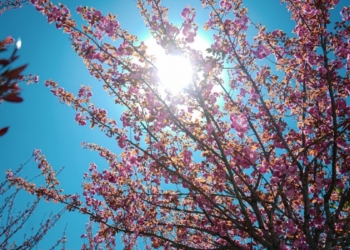 ​Parashikimi i motit për sot