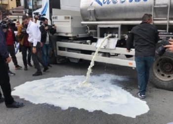 Në Kosovë bie prodhimi i qumështit, në Shqipëri fermerët derdhin qumështin në rrugë