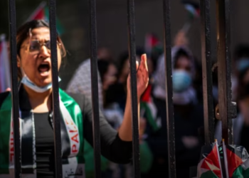 Universiteti amerikan pezullon studentët protestues propalestinezë