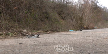 Shoferi i autobusit dyshohet se humbi kontrollin, 14 persona të lënduar në aksident