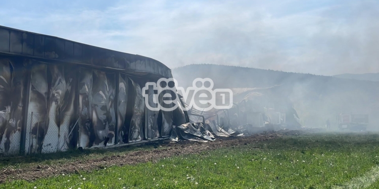 Përfshihet nga zjarri një fabrikë e kërpudhave në Podujevë