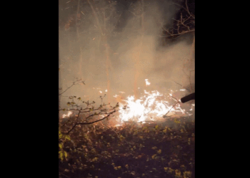 Përfshihen nga zjarri malet e Hajvalisë